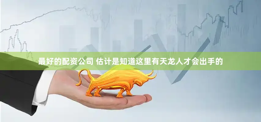 最好的配资公司 估计是知道这里有天龙人才会出手的