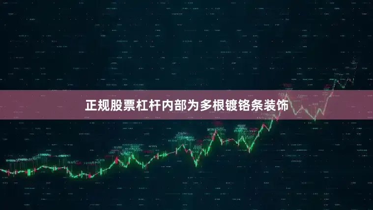 正规股票杠杆内部为多根镀铬条装饰