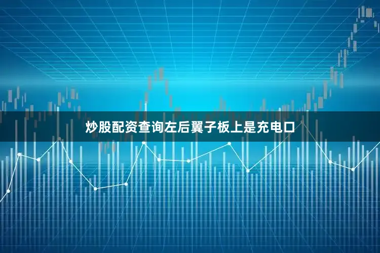 炒股配资查询左后翼子板上是充电口